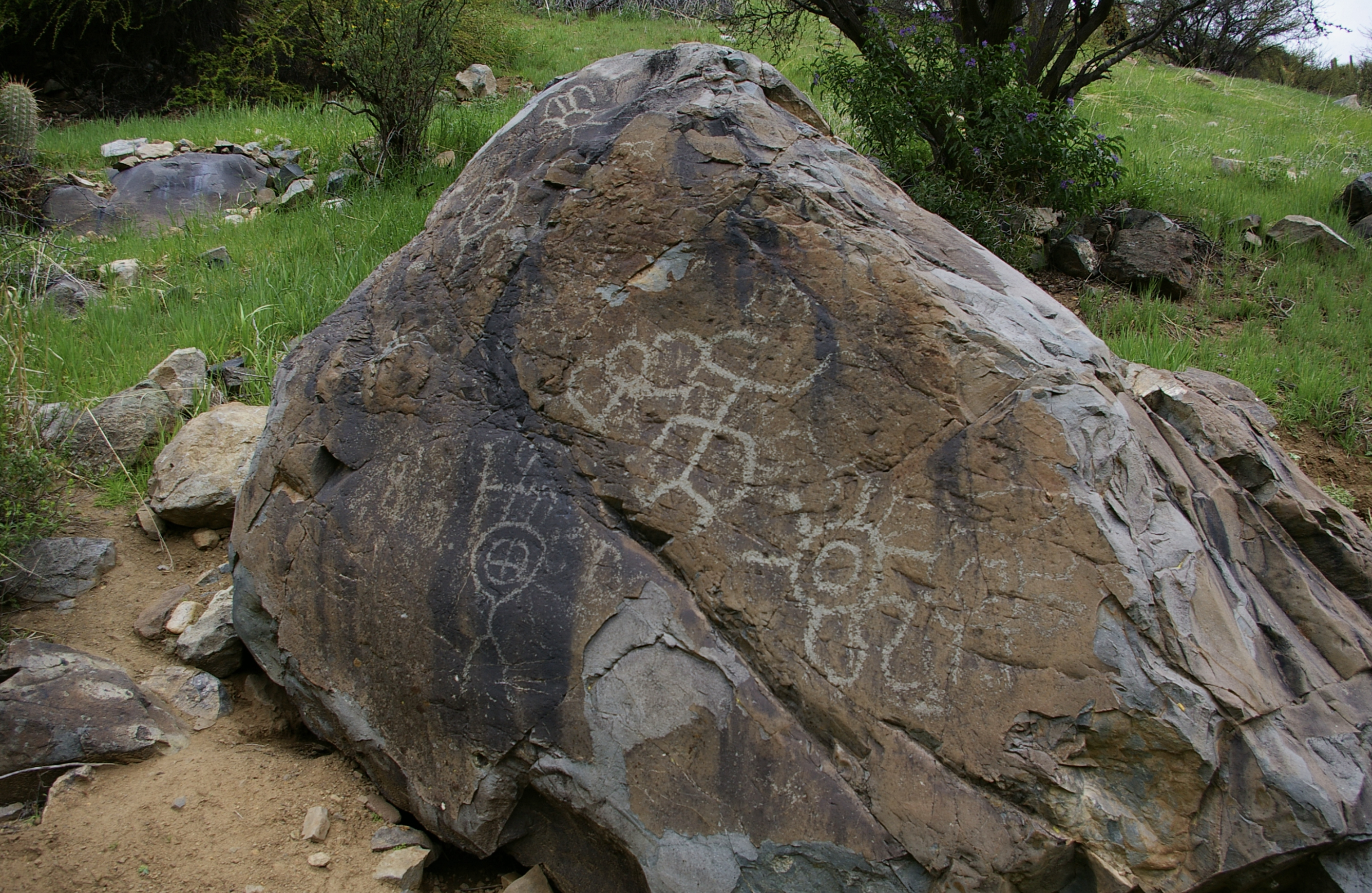 Petroglifos de Alicahue